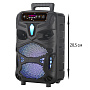 Колонка NDR-P55, Bluetooth, 38см, дин.1шт/8", 20Вт, пульт, микрофон, подсветка, черная