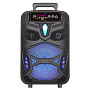Колонка NDR-P55, Bluetooth, 38см, дин.1шт/8", 20Вт, пульт, микрофон, подсветка, черная