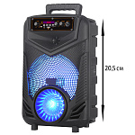 Колонка NDR-P44, Bluetooth, 38см, дин.1шт8", 20Вт, пульт, микрофон, подсветка, черная, (мятая упак)