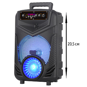 Колонка NDR-P44, Bluetooth, 38см, дин.1шт8", 20Вт, пульт, микрофон, подсветка, черная, (мятая упак)