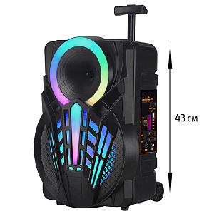 Колонка NDR-P08, Bluetooth, 43см, дин.1шт/8", 20Вт, пульт, микрофон, подсветка, черная, (уценка)