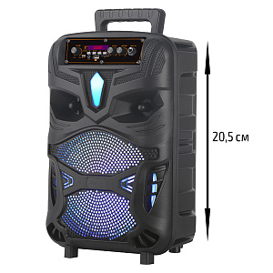 Колонка NDR-P55, Bluetooth, 38см, дин.1шт/8", 20Вт, пульт, микрофон, подсветка, черная