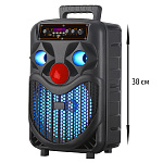 Колонка NDR-P66, Bluetooth, 38см, дин.1шт/8", 20Вт, пульт, микрофон, подсветка, черная