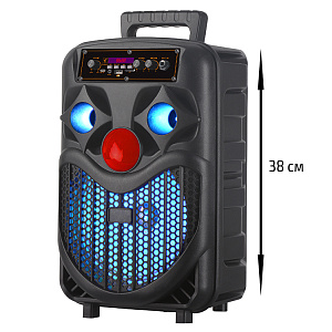 Колонка NDR-P66, Bluetooth, 38см, дин.1шт/8", 20Вт, пульт, микрофон, подсветка, черная
